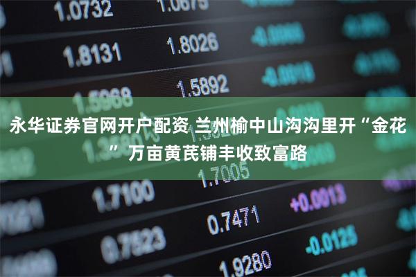永华证券官网开户配资 兰州榆中山沟沟里开“金花” 万亩黄芪铺丰收致富路