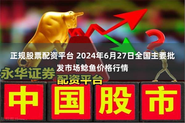 正规股票配资平台 2024年6月27日全国主要批发市场鲶鱼价格行情