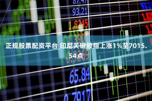 正规股票配资平台 印尼关键股指上涨1%至7015.54点