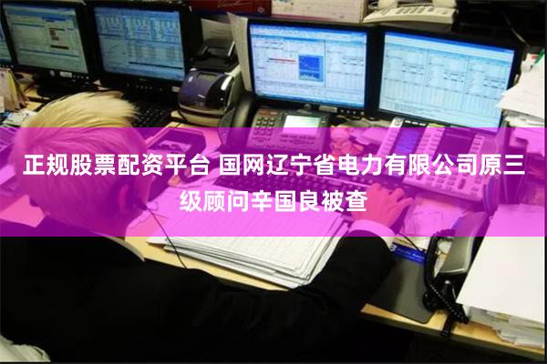 正规股票配资平台 国网辽宁省电力有限公司原三级顾问辛国良被查