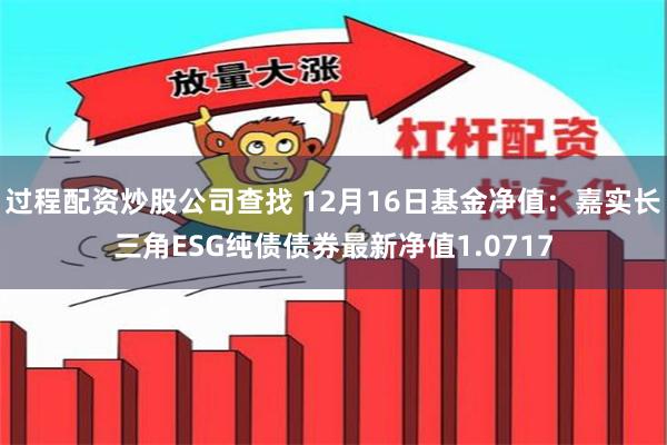 过程配资炒股公司查找 12月16日基金净值：嘉实长三角ESG纯债债券最新净值1.0717