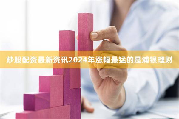 炒股配资最新资讯2024年涨幅最猛的是浦银理财